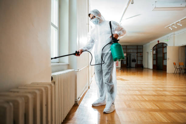 Professional Pest Control in Central Falls, RI